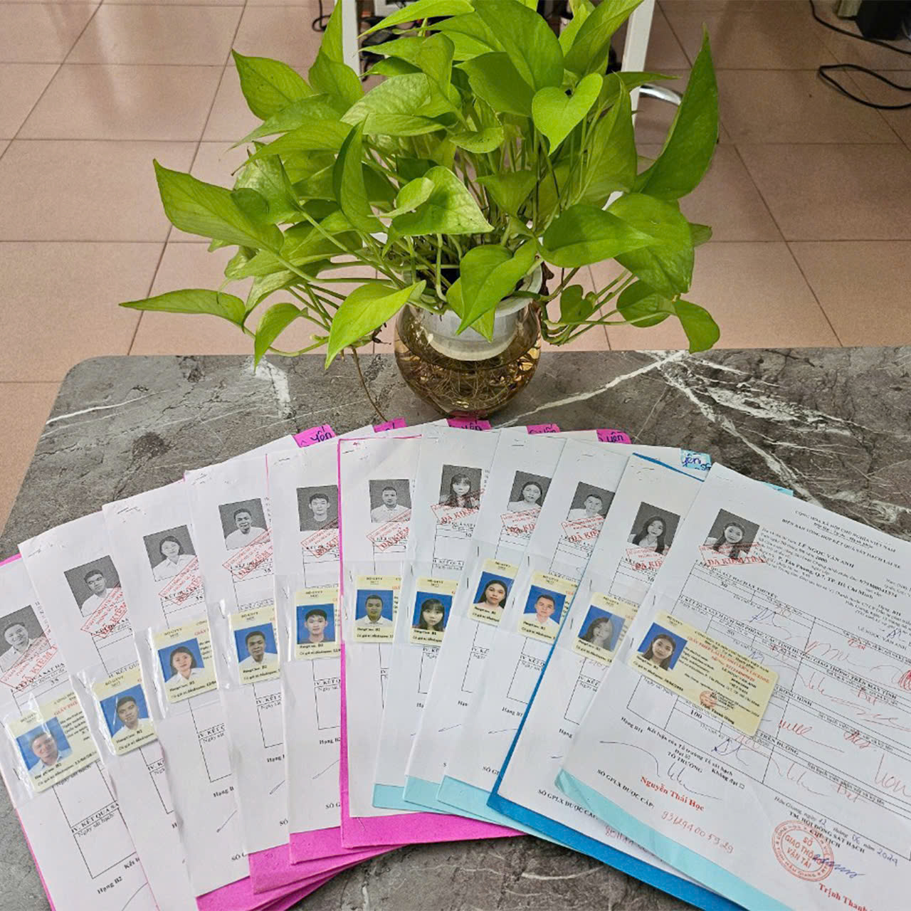 Bài đánh giá của học viên 10